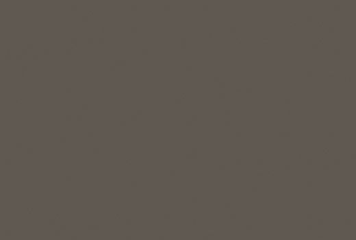U741 ST9 Brun taupe