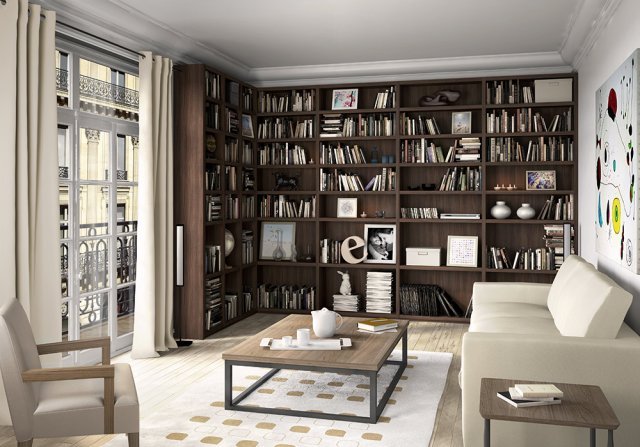 Organiser les rangements - Bibliothèque dans un appartement parisien