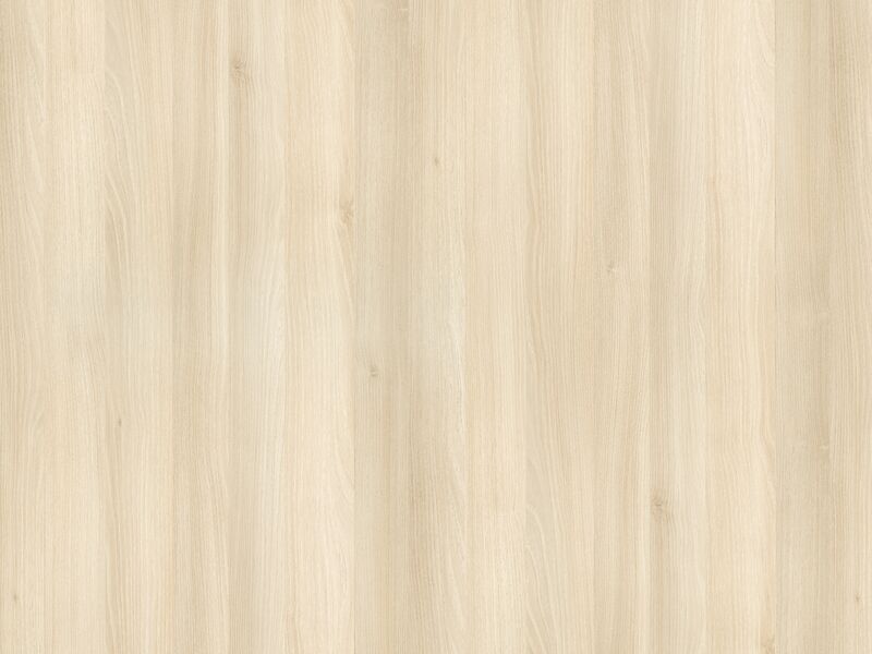 Acacia Nature