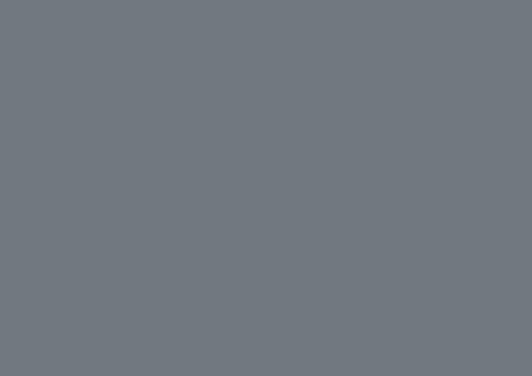 U780 ST9 Gris céladon