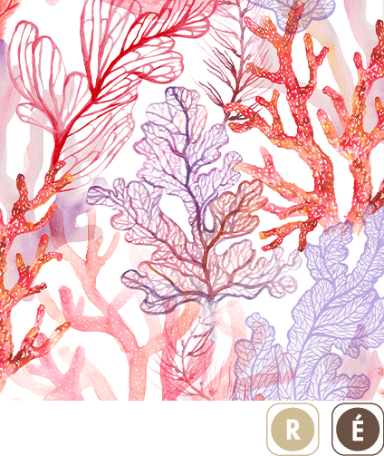 Sogal Colors Coraux