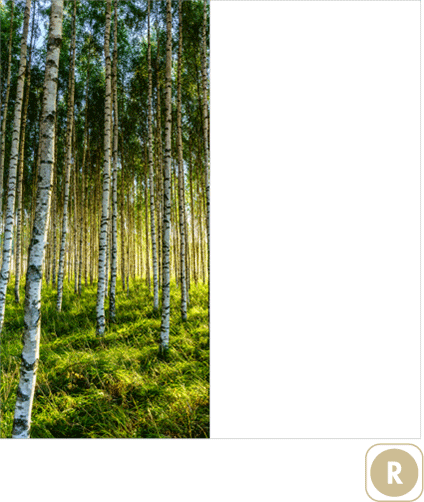 Sogal Colors Forêt
