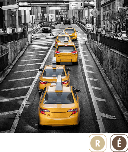Sogal Colors New-York