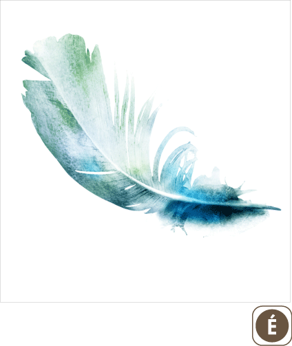 Sogal Colors Plume