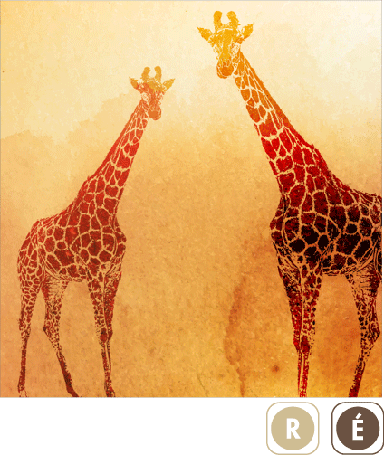 Sogal Colors Savane