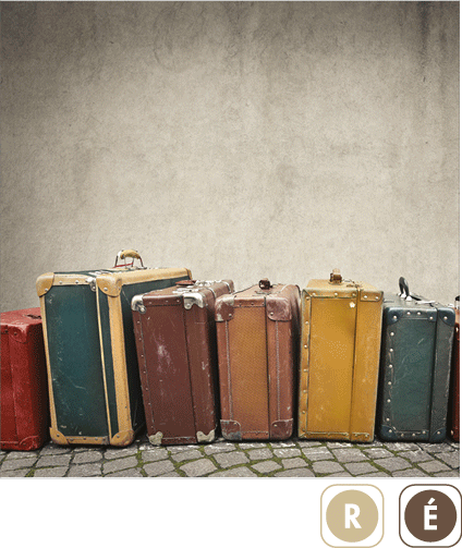 Sogal Colors Valises
